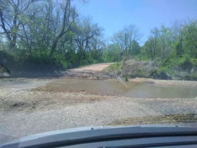 Into the Wood: A Day in the Life of an Off-Grid Entrepreneur Image